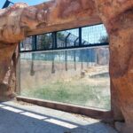 Projet de reconstruction des cages du zoo du Belvédère